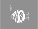 Phish The White Tape Vinyl BRAND NEW