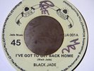 BLACK JADE/GOT TO GET BACK HOME/PRE JADE 7