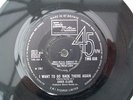 Chris Clark - I Want To Go Back - TMG638