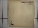 BABYSHAMBLES  Down In Albion  rare LP  MINT  Libertines
