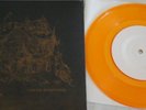 Circa Survive B-Sides Orange 7' vinyl Tour Exclusive