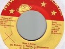 rare modern sweet soul 45 FINAL CHAPTER on New World