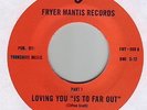 funk 45 6 DEGREE SOUTH loving you is to far out  HEAR