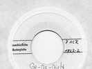 Sg. -  RALF BENDIX  - GO GO GIRL     -   weisse PROMO