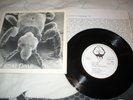 THE ANAL FLEAS - LANDLORD E.P  PUNK DIY KBD POWERPOP