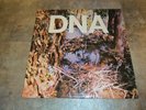 A Taste of DNA LP American Clave  AMCL 1003EP 1981