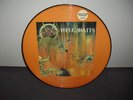 SLAYER HELL AWAITS FIRST PRESS PICTURE DISC # 1887 RARE