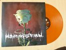 Heaven Shall Burn - whatever it may take, orange 50 St.