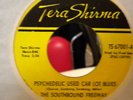 SOUTHBOUND FREEWAY-TERA SHIRNIA- PSYCHEDELIC BLUES