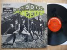 THE SEEDS- s/t RARE 1966 GARAGE PSYCH FUZZ PUNK MONO LP