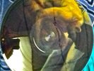 Tool Cesaro/Third Eye LP picturedisc/SUPER RAREZOO/BMG