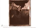The Pixies - Surfer Rosa