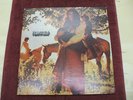 Fear Itself  Dot  Records DLP 25942