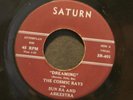 45 COSMIC RAYS & SUN RA ARKESTRA on SATURN 
