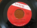 RARE POPCORN SOUL Johnny Wells LONELY MOON Astor 45