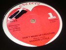 Sharon Little Dont Mash Up Creation Roots 12