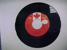 THE PAUPERS - For What I Am - PSYCH garage 45 -1965