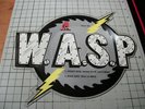 W.A.S.P. shaped pic disc NEW wasp animal ozzy dio metal