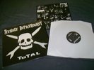 Teenage Bottlerocket 