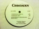 Beach Boys/Brian Wilson Crawdaddy Interview lp-1 sided