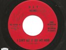 Fred Netherton & Wildwood Playboys 45 Rare Rockabilly Bop (Dixie, Starday...)