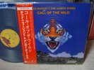 Ted Nugent & The Amboy Dukes/Call Of The Wild,JP Org LP