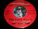 GARY SPIDER WEBB Rare Surf Garage 45 on Bamboo The Cave