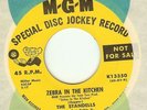 STANDELLS:Zebra In TheKitchen-Someday You’ll Cry-MGM DJ