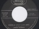Country Bop Rockabilly   Jimmie Skinner   Sweet Baby Go