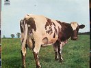 Pink Floyd - Atom Heart Mother - IMPORT - SEALED