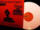 1970 Revolutionary YAMA & THE KAMA DUSTERS garage psych