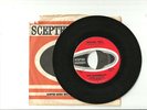 Shangri Las-Wishing Well/Hate to Say I Told You So 45