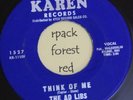 THE AD LIBS -  Think Of Me -  KAREN - Michigan 45