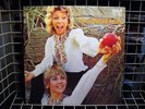 les Scarabees-JERRY DE VILLIERS FUNK ACID POP PSYCH EX+