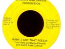 SIR DANE & DARIUS Got That Feelin Soul 45 Hear