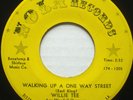 NORTHERN 45-WILLIE TEE-WALKING UP A ONE WAY STREET /TEA