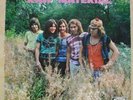 RAW MATERIAL 1971 GERMAN LP