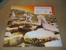 Led Zeppelin: Houses of the Holy LP Sealed 1980's press