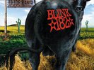 BLINK 182 DUDE RANCH CLEAR GREEN 1/500 SOLD OUT