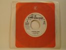 JIMI HENDRIX - Stepping Stone ,45 rpm NEAR MINT *PROMO*