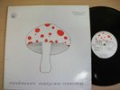 MUSHROOM EARLY ONE MORNING HAWK 116 IRISH PSYCH RARE
