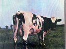 PINK FLOYD ATOM HEART MOTHER MFSL NEW SEALED PERFECT