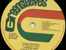 JUNIOR REID KNOW MYSELF / HUGH MUNDELL POP NO STYLE 12