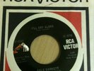 Northern Soul Gale Garnett I'll Cry Alone