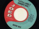 TEEN ROCKABILLY on JOED--DAVID BOX---1964--HEAR BOTH