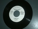 ELVIS PRESLEY 45 - MYSTERY TRAIN - RECORD PREVUE- PROMO