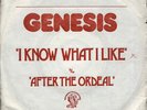 GENESIS I know what I like French SP 45 CHARISMA