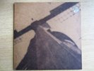 Red House Painters - Ocean Beach - Vinyl LP (2x10