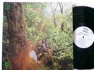 Douglas Fir Hard Heartsingin' LP Promo DJ Psych