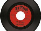 GARAGE/SURF INSTR ROCKER- PLAYBOYS- 